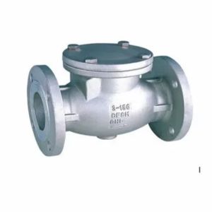 Stainless Steel Check Valve